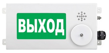 Купить Оповещатель охранно-пожарный (табло)  ТСВ-Exm-М-Прометей-МИНИ 220В Спектрон