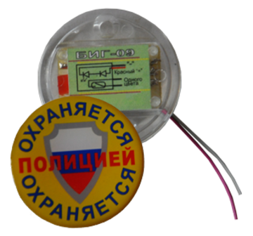 Купить Оповещатель охранно-пожарный световой  БИГ-09 ПЭАП