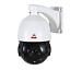 Купить Видеокамера IP Sarmatt SR-ID25V4794PIR поворотная