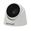 Купить Видеокамера IP Sarmatt SR-ID50F36IRX купольная
